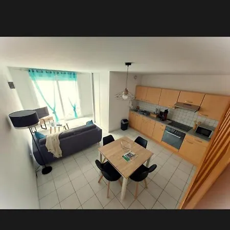 Chaleureux Appartement Remiremont