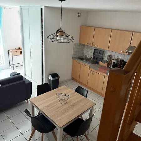 Chaleureux Appartement Remiremont