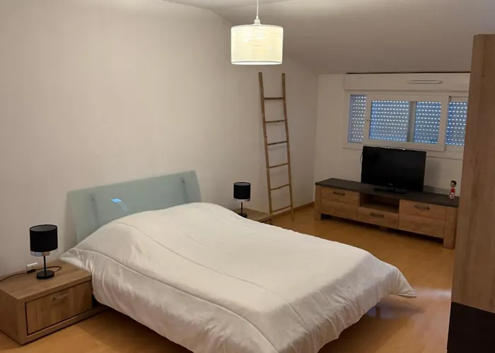 Chaleureux Apartment *