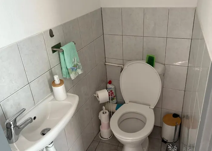 Chaleureux Apartment Remiremont